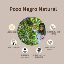 画像をギャラリービューアに読み込む, 19% OFF。59-POZO NEGRO NATURAL「愛麗絲莊園」宏都ラスシ-Pozo Negro Montecillos-2023 年- Catuai / IHCAFE 90 日曬