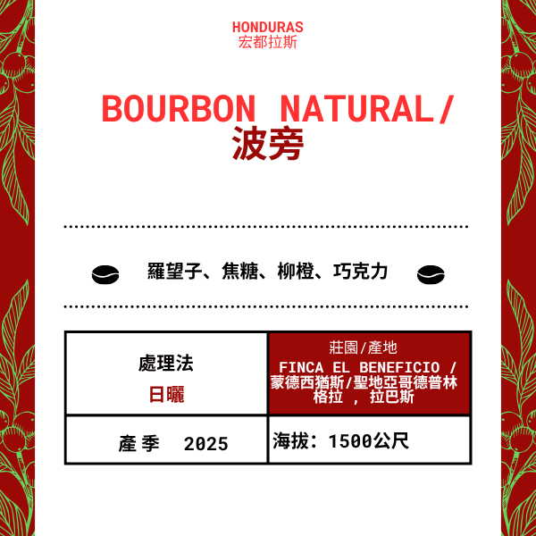 574-Bourbon Natural--- Finca El Beneficio /蒙德西猶斯/光復德普林格拉 , 拉巴斯,宏都拉斯 2025 年