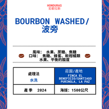 將圖片載入圖庫檢視器 63-Bourbon Washed「Finca El Beneficio莊園」宏都拉斯-Santiago Purginla, La Paz -2024年- 波旁Bourbon水洗----未稅價
