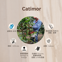 画像をギャラリービューアに読み込む, 13% OFF。54-CATIMOR「愛麗絲莊園」宏都ラスティス-Santiago Puringla -2023 年- カティモール水洗
