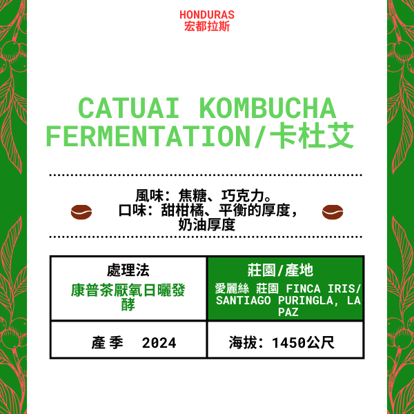 71-Catuai Kombucha Fermentation「Finca Iris 愛麗絲莊園」宏都拉斯-Santiago Puringla , La Paz -2024年-卡杜艾Catuai --康普茶厭氧日曬發酵---未稅價
