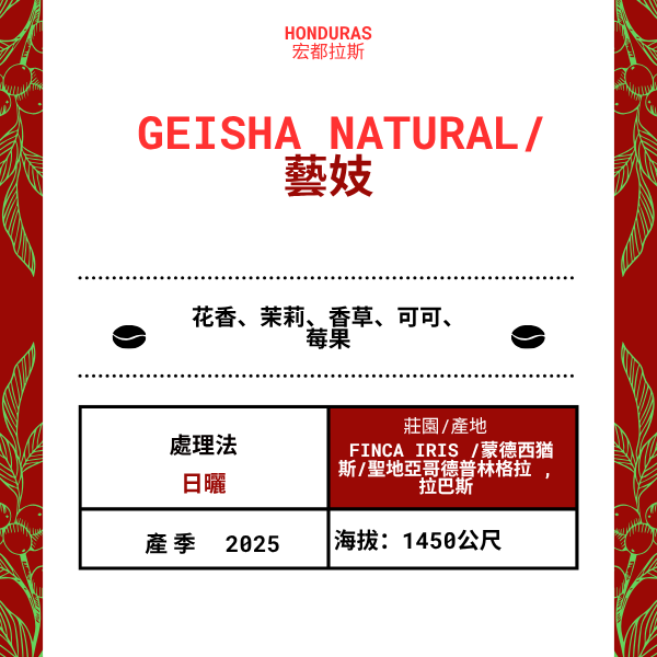 575-Geisha Natural--- Finca Iris /蒙德西猶斯/光復德普林格拉 , 拉巴斯, 宏都拉斯 2025 年
