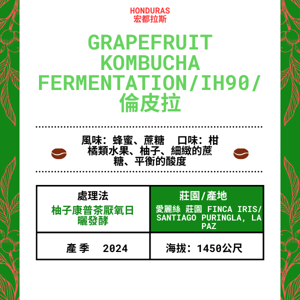 67-葡萄柚康普茶發酵「Finca Iris 愛麗絲莊園」宏都拉斯-Santiago Puringla , La Paz -2024年- IH90/倫皮拉 --柚子康普茶厭日氧曬發酵---未稅價