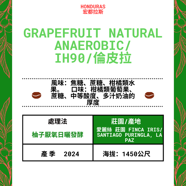 68-グレープフルーツ ナチュラル アナエロビック「Finca Iris 愛麗絲 莊園」宏都拉斯-Santiago Puringla , La Paz -2024 年- IH90/倫皮拉 -- 柚子厭氧日曬發酵---未稅價