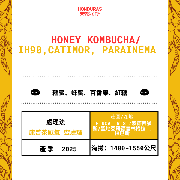 573-蜂蜜康普茶--- Finca Iris /蒙德西猶斯/光復德普林格拉 , 拉巴斯,宏都拉斯 2025年
