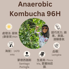 画像をギャラリービューアに読み込む, [售完] Kombucha 嫌気性特殊発酵 96H厭氧(康普茶)
