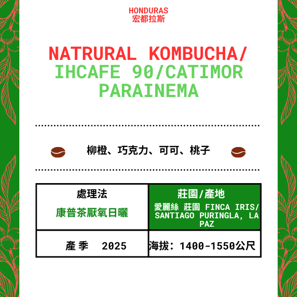 576-天然康普茶--- Finca Iris /蒙德西猶斯/光復德普林格拉 , 拉巴斯,宏都拉斯 2025年