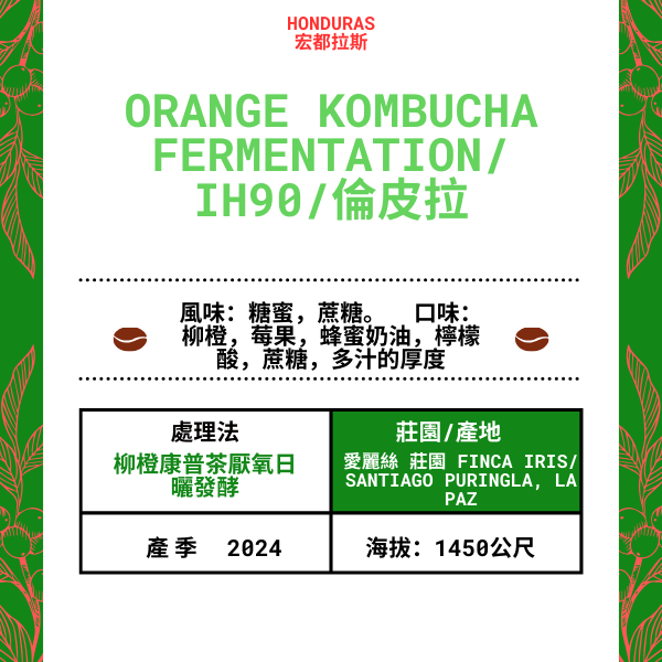 70-Orange Kombucha Fermentation「Finca Iris 愛麗絲莊園」宏都拉斯-Santiago Puringla , La Paz -2024年- IH90/倫皮拉 --橘子康普茶厭氧日曬發酵---未稅價
