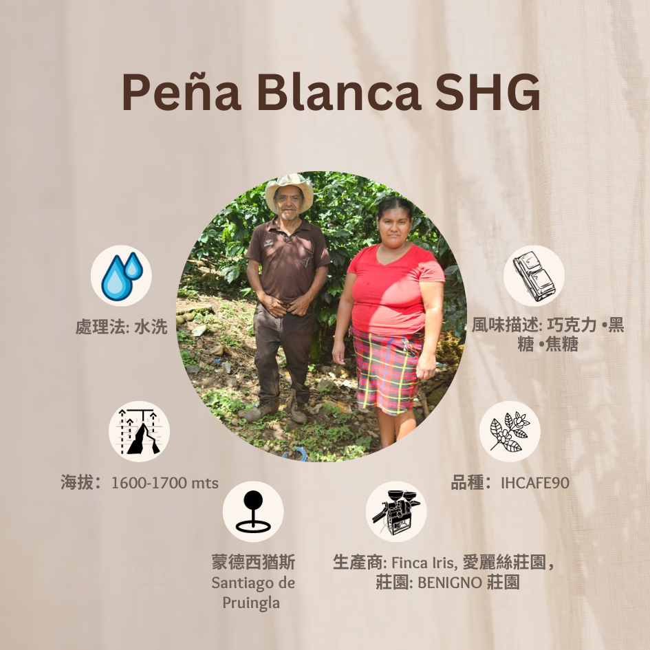 PEÑA BLANCA SHG「愛麗絲莊園」宏都拉斯-Santiago Puringla -2023- IHCAFE90 水洗
