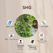 画像をギャラリービューアに読み込む, [售完] SHG「愛麗絲莊園」宏都拉斯-Santiago Puringla -2023年- IHCAFE 90/Lempira/ Catimor 水洗
