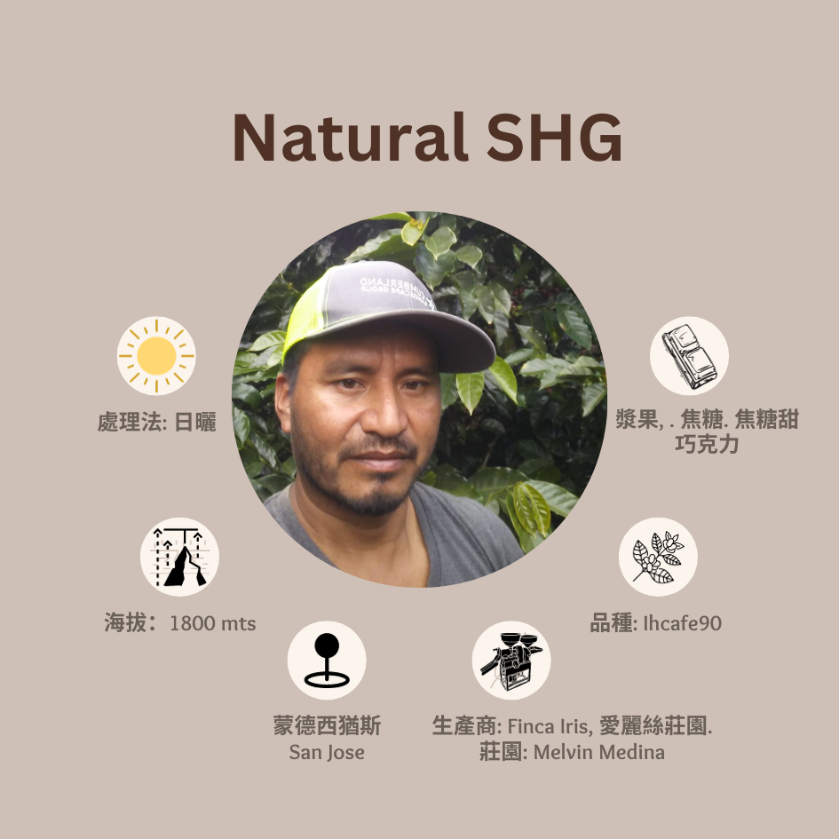 [售完] NATURAL SHG「愛麗絲莊園」宏都拉斯-モンテシージョス-2023年-IHCAFE 90日曬