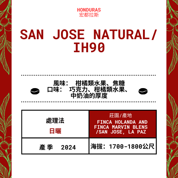 64-San Jose Natural“Finca Holanda and Finca Marvin莊園”洪都拉斯-San Jose, La Paz -2024年- IH90日曬----未稅價