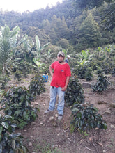 將圖片載入圖庫檢視器 64-San Jose Natural“Finca Holanda and Finca Marvin莊園”洪都拉斯-San Jose, La Paz -2024年- IH90日曬----未稅價
