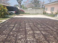 將圖片載入圖庫檢視器 65-Bourbon Natural“Finca El Beneficio 莊園”洪都拉斯-Santiago Puringla , La Paz -2024年- 波旁Bourbon日曬----未稅價
