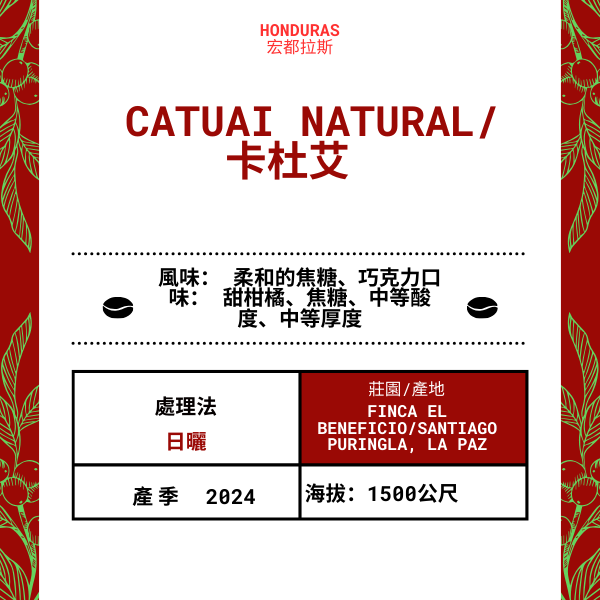 72-Catuai Natural「Finca EL Beneficio 莊園」宏都拉斯-La Laguna, Santiago Puringla, La Paz -2024年-卡杜艾Catuai日曬----未稅價